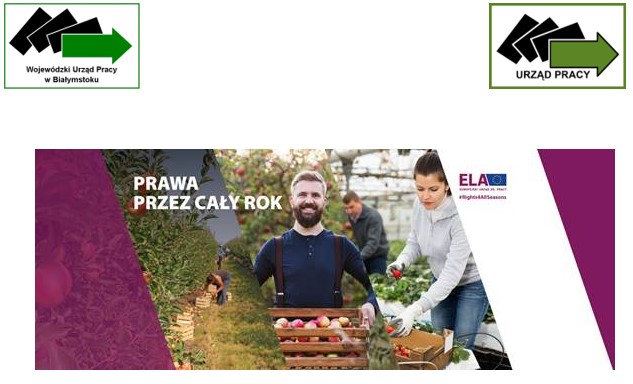 praca Holandia.jpg